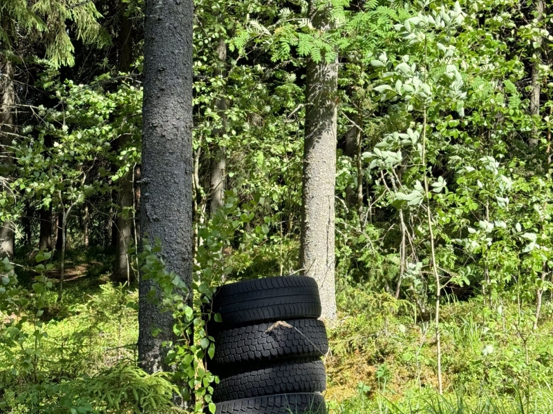 Four old tires stacked against a tree trunk in a lush green forest clearing, highlighting environmental impact.