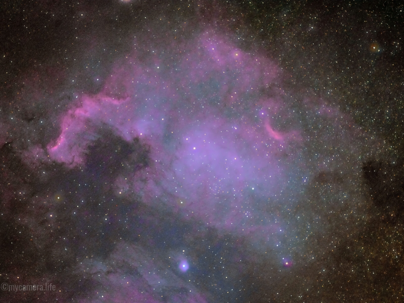 An expansive view of the North America Nebula, showcasing its vibrant pink and purple gas clouds against a dark, star-filled cosmic backdrop.